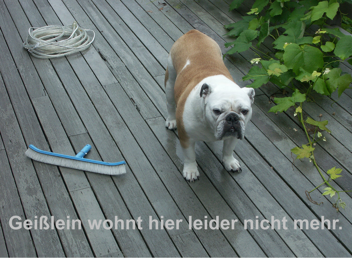 Gei�lein wohnt hier leider nicht mehr.